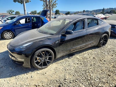 5YJ3E1EB0MF****** 2021 Tesla Model 3
