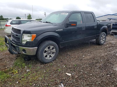 1FTFW1EF1DF****** 2013 Ford F-150