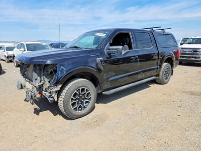 1FTFW1E8XPK****** 2023 Ford F-150