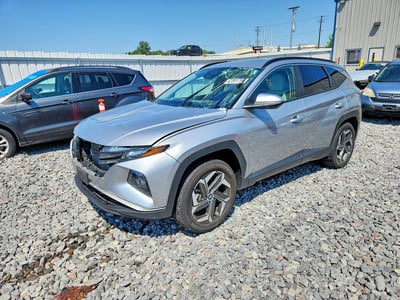 5NMJFCDE7RH****** 2024 Hyundai Tucson