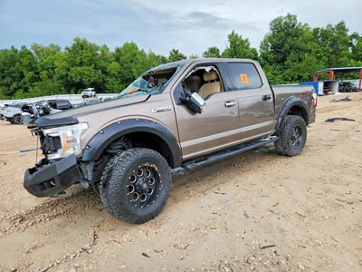 1FTEW1E46KK****** 2019 Ford F-150