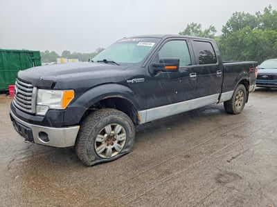 1FTFW1EV7AF****** 2010 Ford F-150