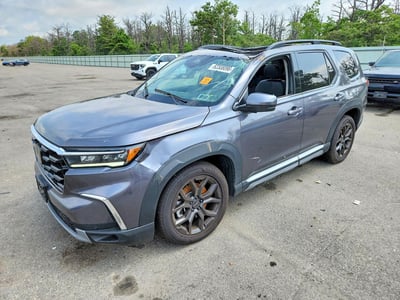 5FNYG1H71SB****** 2025 Honda Pilot