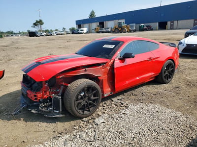 1FA6P8JZ8K5****** 2019 Ford Mustang