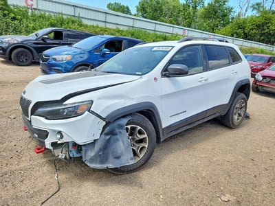 1C4PJMBX2LD****** 2020 Jeep Cherokee