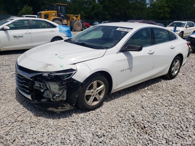 1G1ZB5ST6KF****** 2019 Chevrolet Malibu