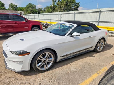 1FATP8UH9K5****** 2019 Ford Mustang