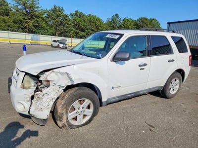 1FMCU5K35BK****** 2011 Ford Escape