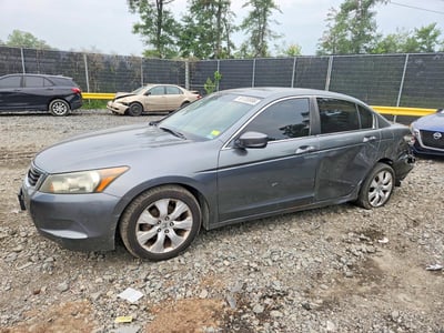 2010 Honda Accord