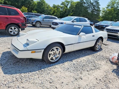 1984 Chevrolet Corvette