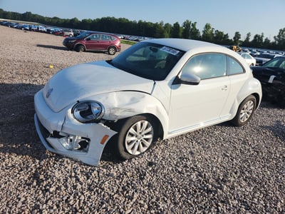 3VWFD7AT4KM****** 2019 Volkswagen Beetle