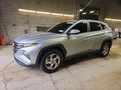 5NMJBCDE5RH****** 2024 Hyundai Tucson