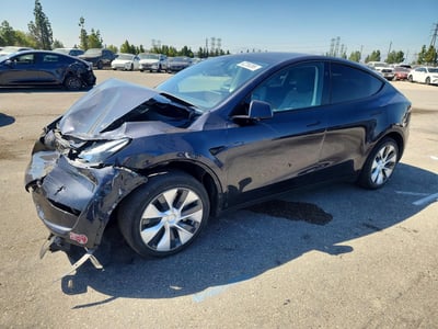 7SAYGDED0RF****** 2024 Tesla Model Y
