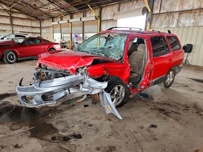 KM8SC13D94U****** 2004 Hyundai Santa Fe