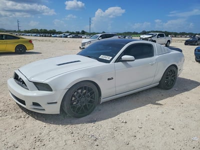 1ZVBP8CF1E5****** 2014 Ford Mustang