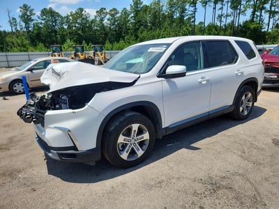 5FNYG2H47RB****** 2024 Honda Pilot