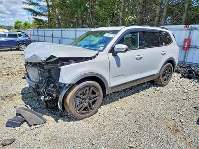 5XYP5DGC8RG****** 2024 Kia Telluride