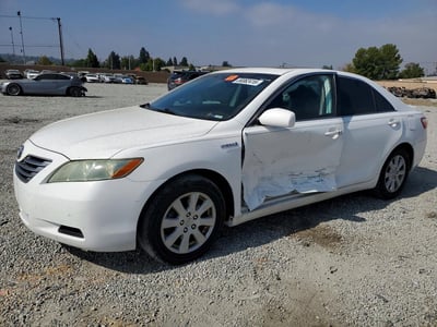 4T1BB46K19U****** 2009 Toyota Camry