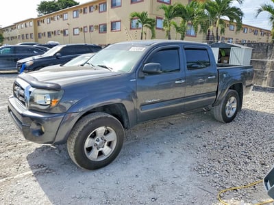 3TMJU62NX9M****** 2009 Toyota Tacoma
