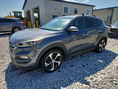 KM8J3CA2XGU****** 2016 Hyundai Tucson