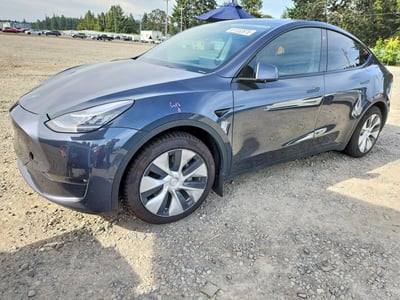 2021 Tesla Model Y at WA - Spanaway: 5YJYGAEE0MF****** – Copart