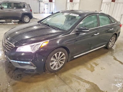 5NPE34AF0GH****** 2016 Hyundai Sonata