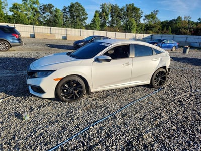 2HGFC2F85KH****** 2019 Honda Civic