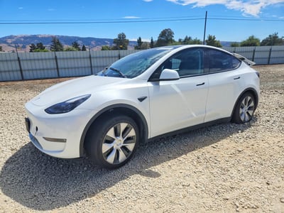 7SAYGDEE9PF****** 2023 Tesla Model Y
