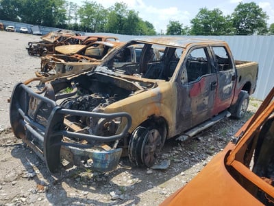 1FTEW1E83AF****** 2010 Ford F-150