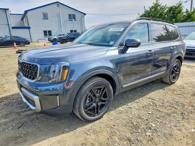 5XYP3DGC5PG****** 2023 Kia Telluride