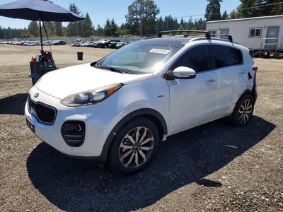 KNDPNCAC4H7****** 2017 Kia Sportage