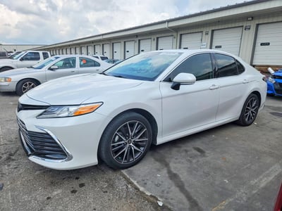 4T1F11AK1MU****** 2021 Toyota Camry