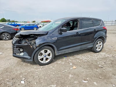 1FMCU0GX2DU****** 2013 Ford Escape