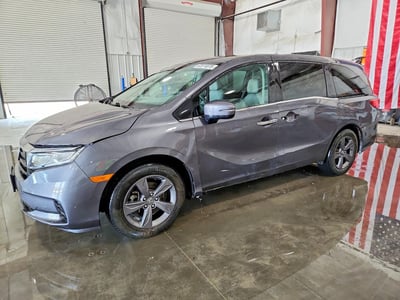 5FNRL6H54PB****** 2023 Honda Odyssey