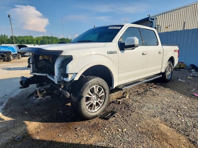 1FTEW1E59KF****** 2019 Ford F-150