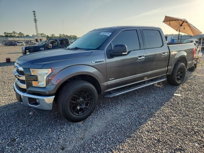 1FTEW1CP8FK****** 2015 Ford F-150
