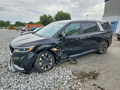 KNDNC5H39R6****** 2024 Kia Carnival