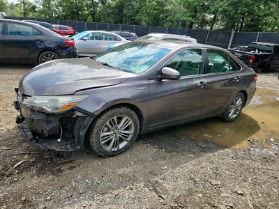 4T1BD1FK5FU****** 2015 Toyota Camry