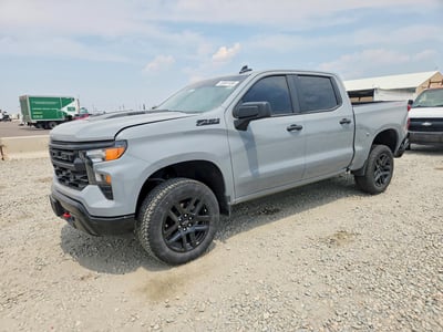 3GCUDCE88RG****** 2024 Chevrolet Silverado 1500