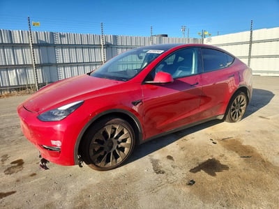 7SAYGDEE7PF****** 2023 Tesla Model Y