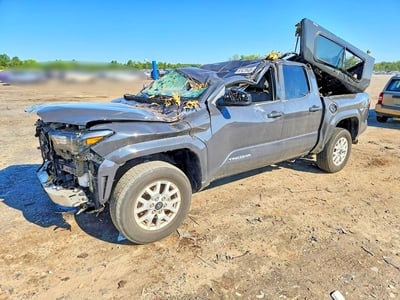 3TMLB5JN1RM****** 2024 Toyota Tacoma