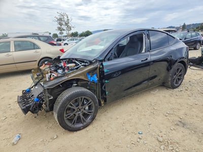 2025 Tesla Model Y