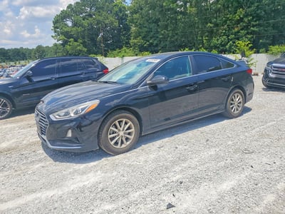 5NPE24AF8KH****** 2019 Hyundai Sonata