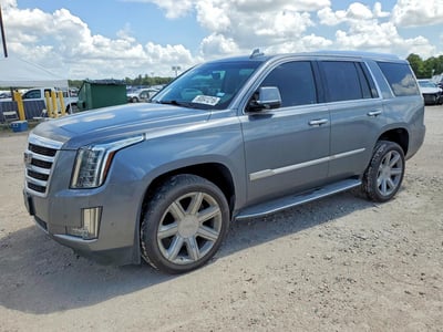 1GYS3BKJ3KR****** 2019 Cadillac Escalade