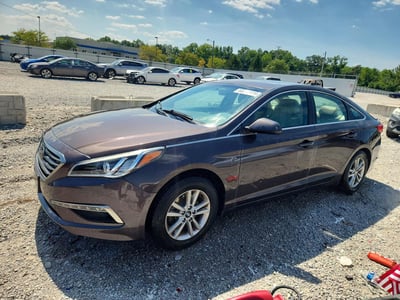 5NPE24AF8FH****** 2015 Hyundai Sonata