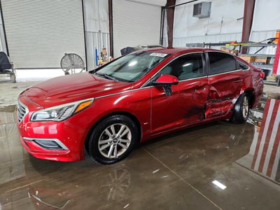 5NPE24AF3GH****** 2016 Hyundai Sonata