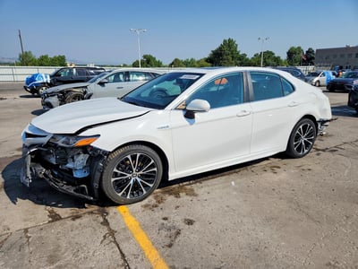 4T1J31AK5LU****** 2020 Toyota Camry