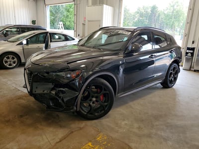 ZASPAKBN8R7****** 2024 Alfa Romeo Stelvio