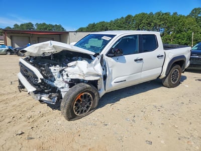 3TMLB5JN8RM****** 2024 Toyota Tacoma