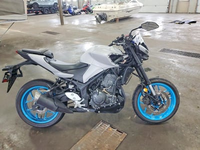 2025 Yamaha Mtn320